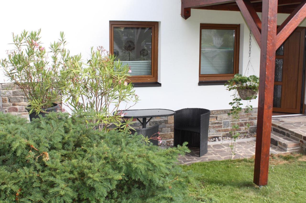 Ferienwohnung Friedrich Mildenau Екстериор снимка