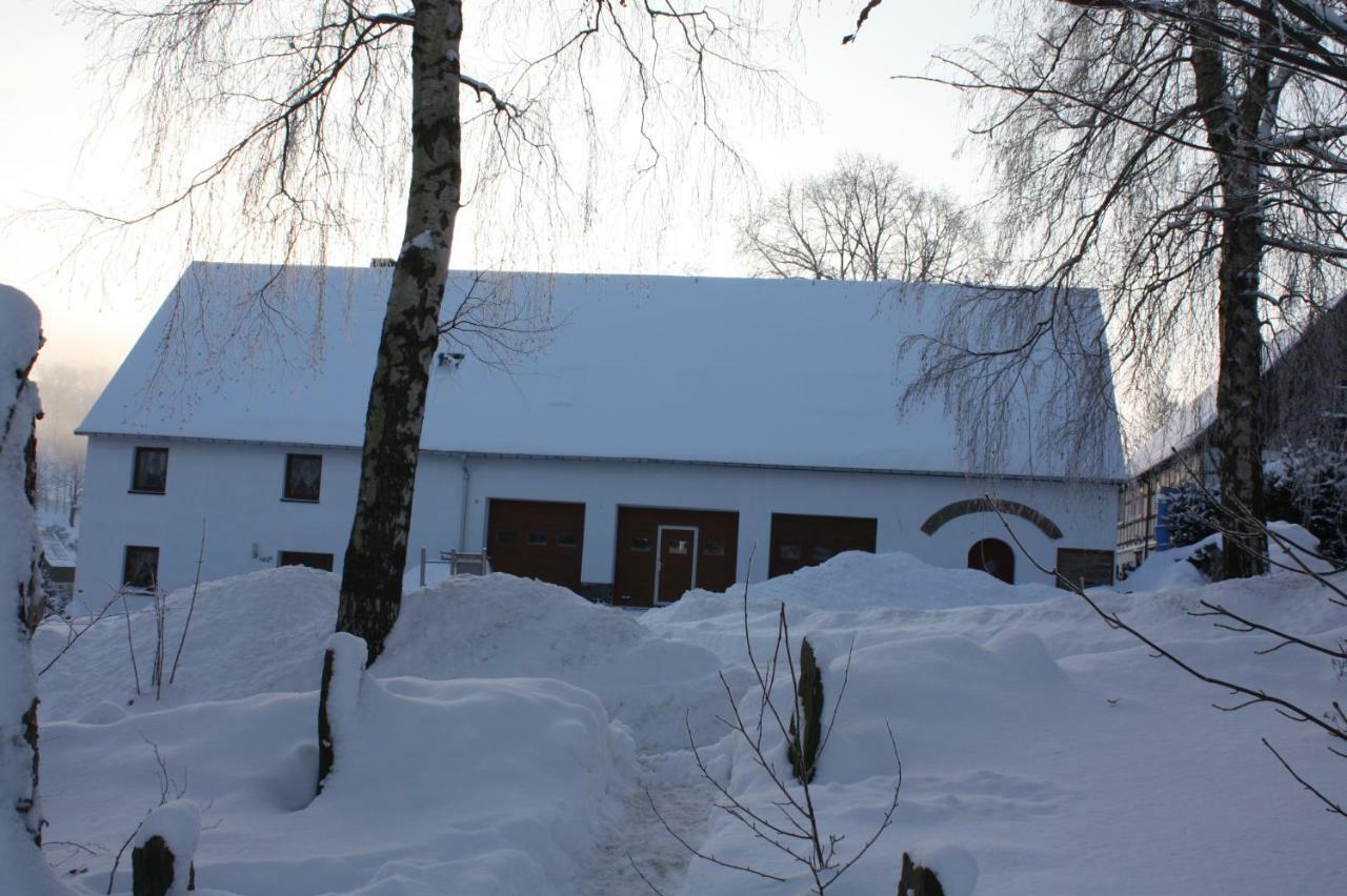 Ferienwohnung Friedrich Mildenau Екстериор снимка